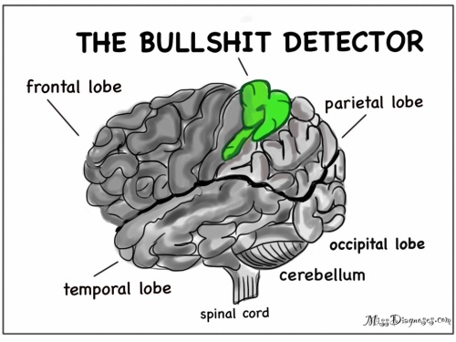 The bullshit detector in the brain