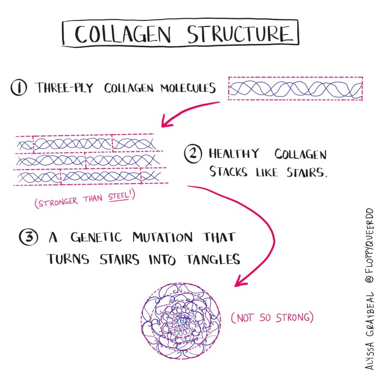 Collagen structure