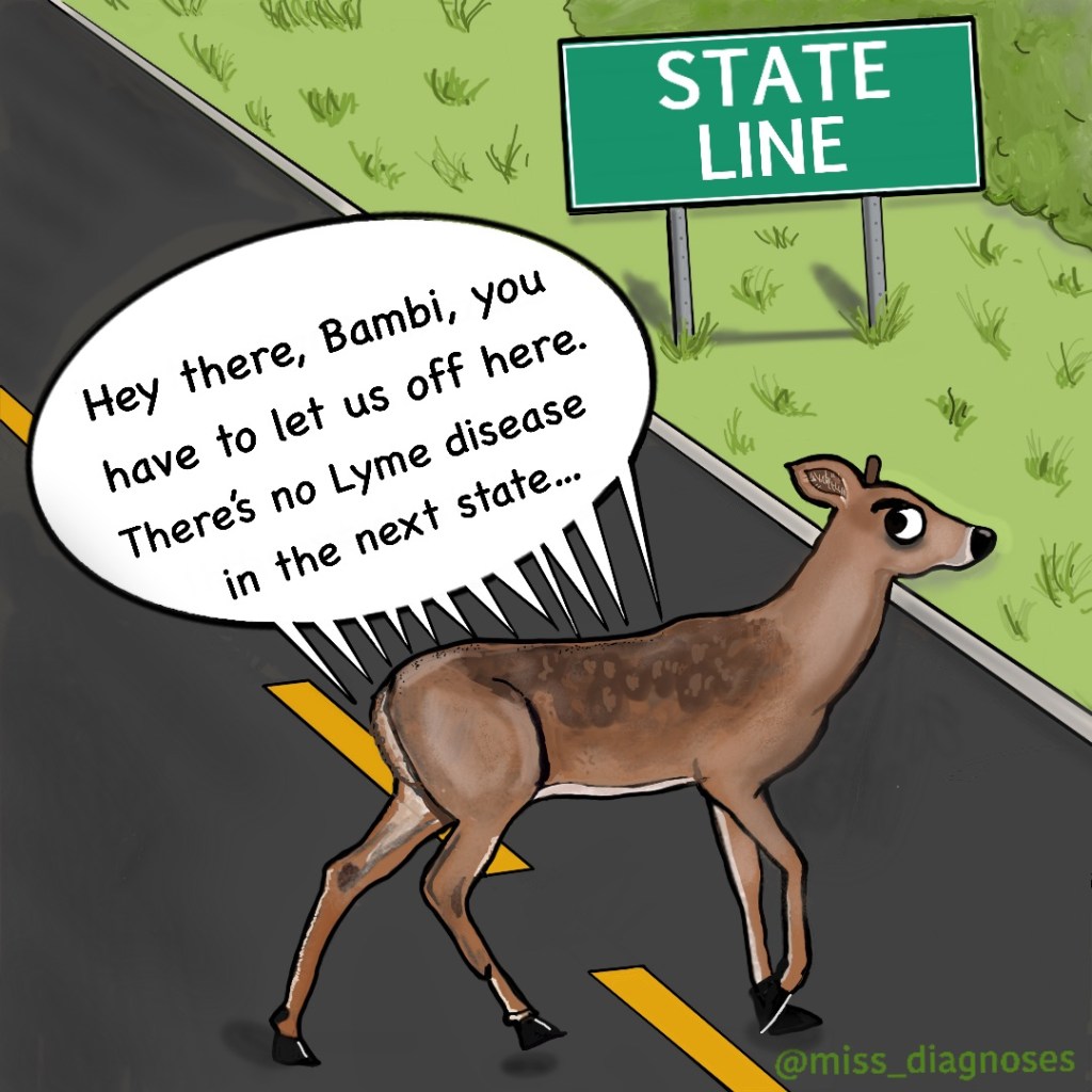 Ticks getting off a deer at the state line